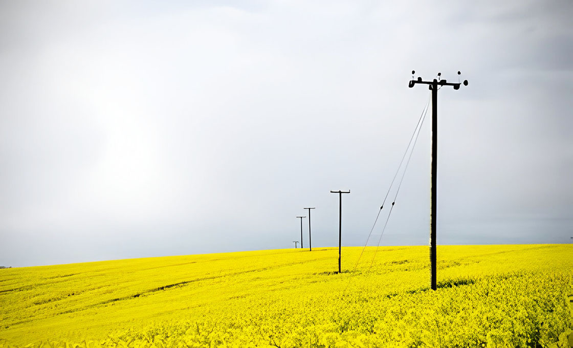 telephone pole with ground anchors